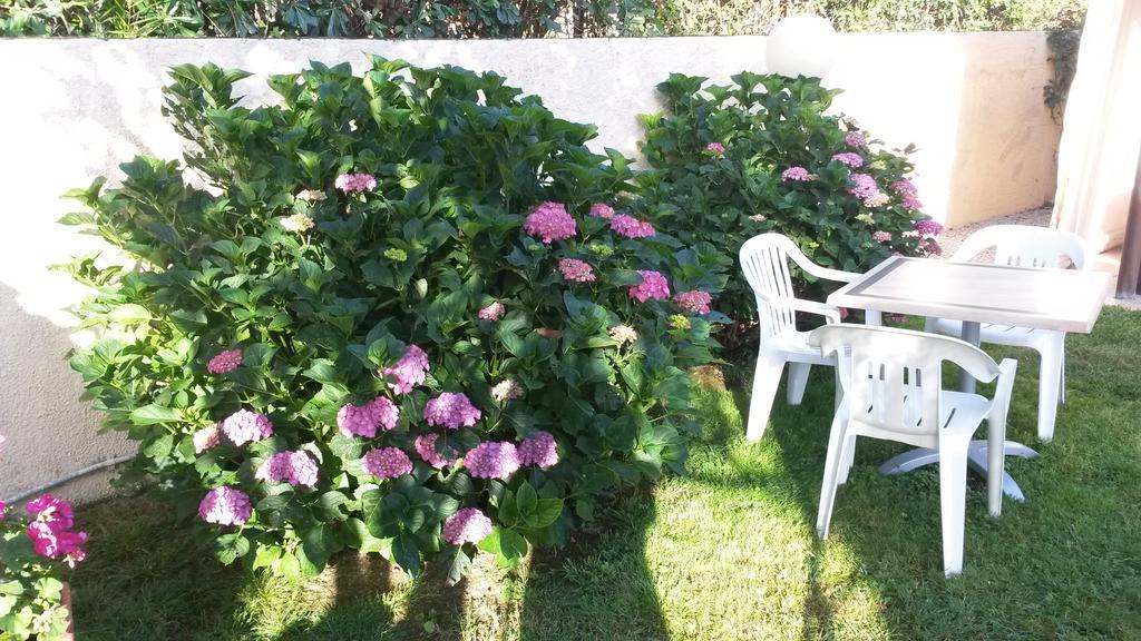 Hotel Anselmi Marciana Marina  Εξωτερικό φωτογραφία